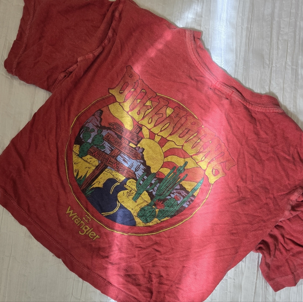 Wrangler X Billabong Desert Graphic Crop Tee